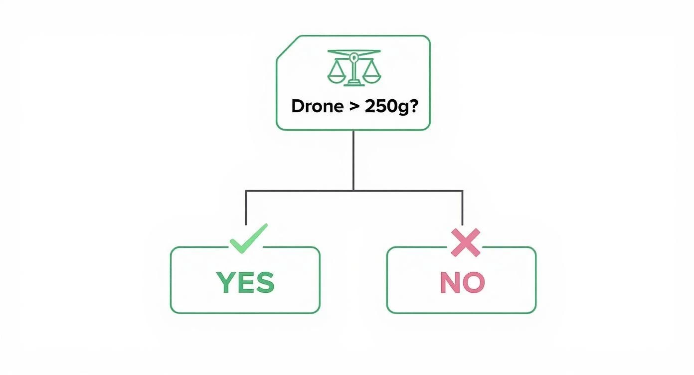 Decision flowchart showing drone weight requirement of 250 grams with yes and no branches